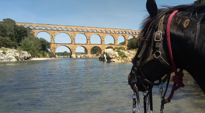 Domaine equestre du Vieil Amandier, promenade à cheval, cours de cheval, pension, le triangle d'or