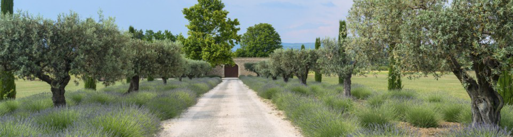 Domaine equestre du vieil amandier