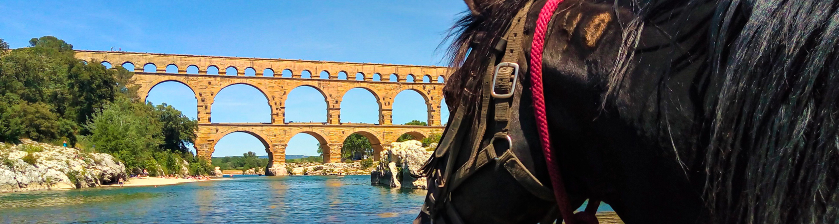 Domaine equestre du vieil amandier