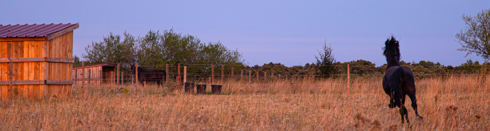 Domaine equestre du vieil amandier