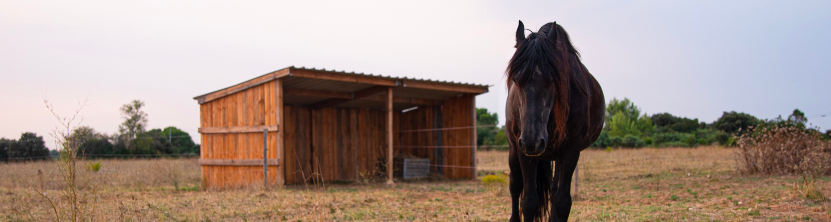 Domaine equestre du vieil amandier